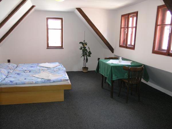 Hotel Novopacké Sklepy à Nová Paka Chambre photo